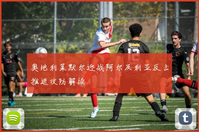 奥地利莱默尔迎战阿尔及利亚反击推进攻防解读