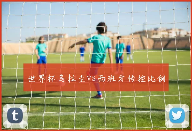 世界杯乌拉圭vs西班牙传控比例