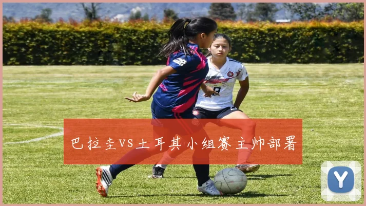 巴拉圭vs土耳其小组赛主帅部署