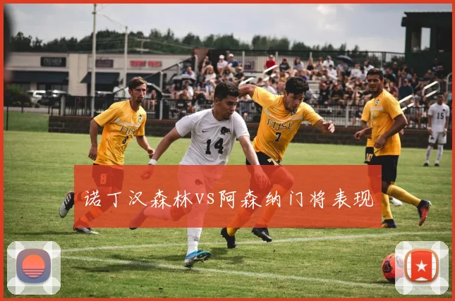 诺丁汉森林vs阿森纳门将表现