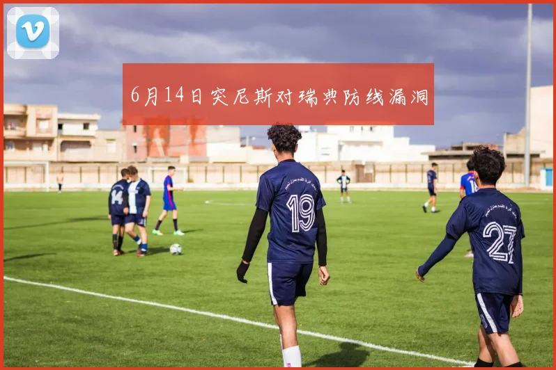 6月14日突尼斯对瑞典防线漏洞
