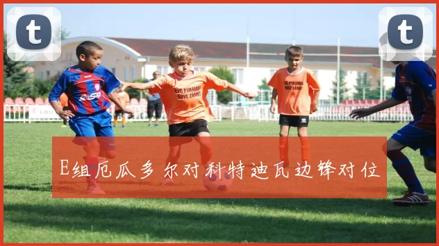 E组厄瓜多尔对科特迪瓦边锋对位