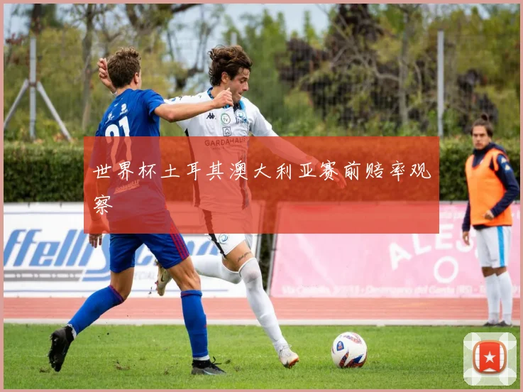 世界杯土耳其澳大利亚赛前赔率观察