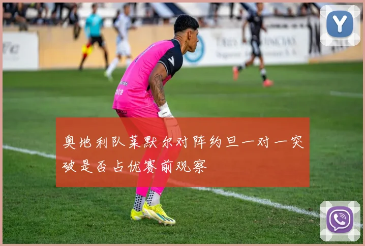 奥地利队莱默尔对阵约旦一对一突破是否占优赛前观察
